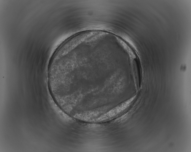 X0000088881088200707061405