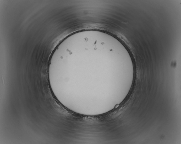 X0000088881089200707061405