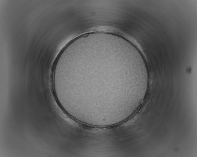 X0000088881091200707061404