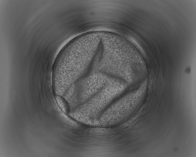 X0000088881092200707061404