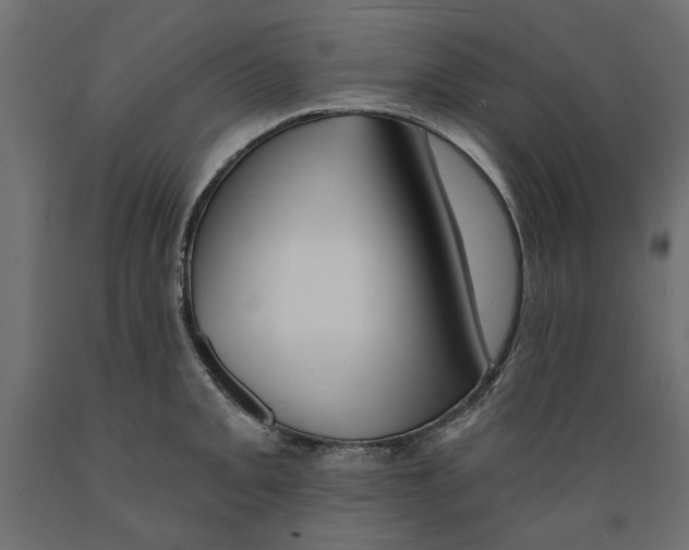 X0000088881093200707061404