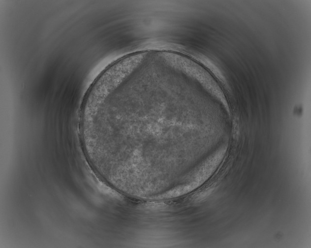 X0000088881094200707061404