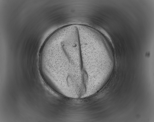 X0000088881096200707061404