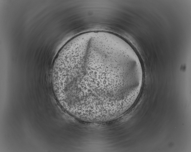 X0000088881097200707061404