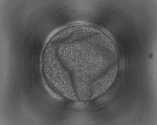 X0000088881098200707061404