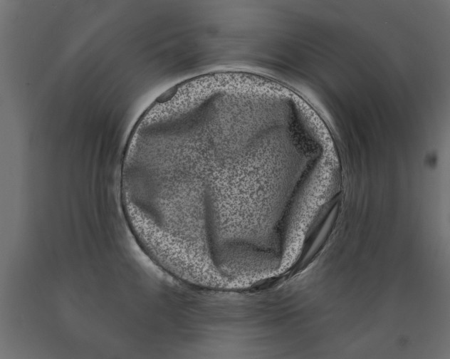 X0000088881100200707061404
