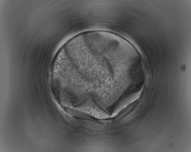 X0000088881101200707061404