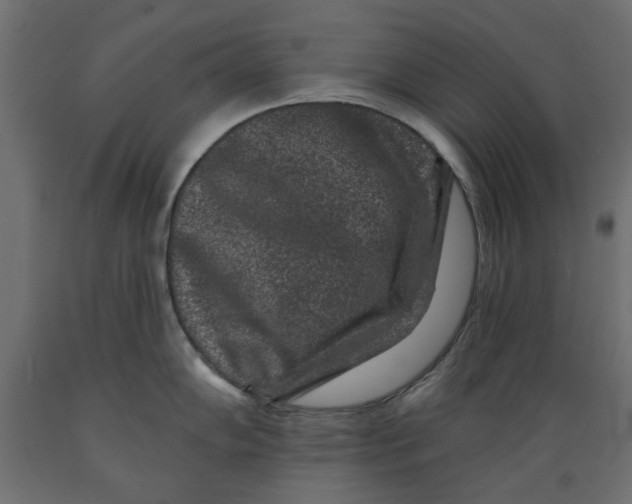 X0000088881102200707061404