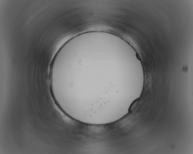 X0000088881103200707061404