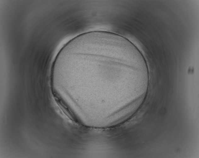 X0000088881104200707061404