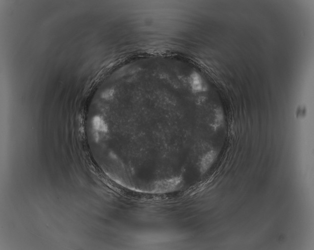 X0000088881106200707061404