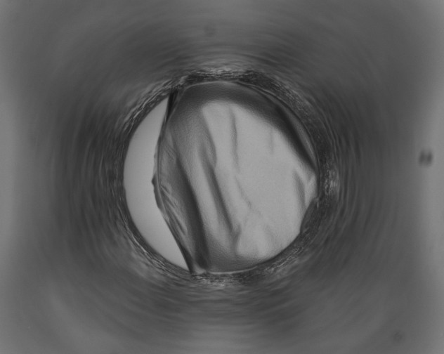 X0000088881108200707061404