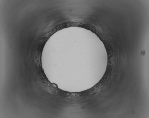 X0000088881109200707061404