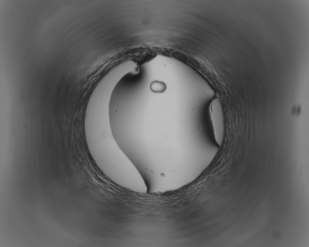 X0000088881110200707061404