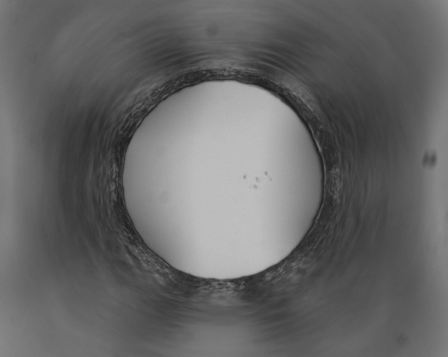X0000088881111200707061404