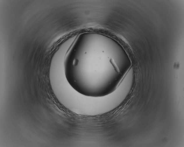 X0000088881112200707061404