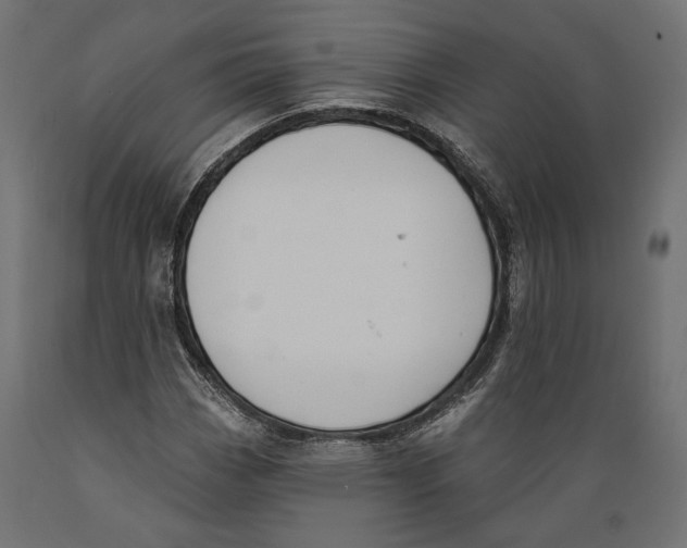 X0000088881113200707061404