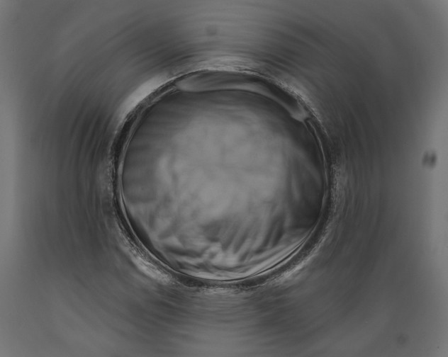X0000088881114200707061404