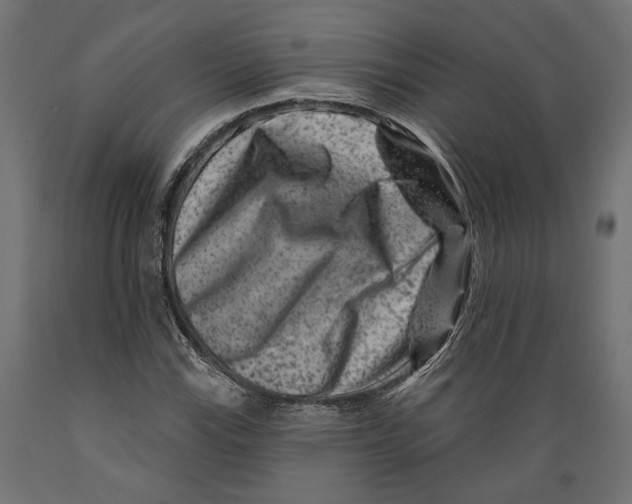 X0000088881115200707061404