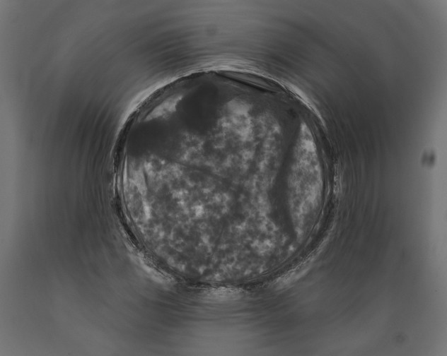 X0000088881117200707061404