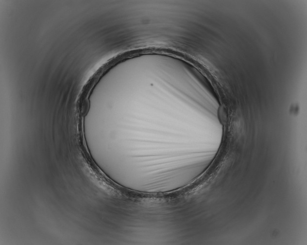 X0000088881118200707061404