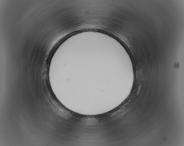 X0000088881119200707061404