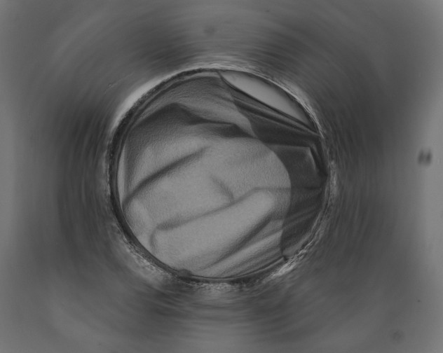 X0000088881120200707061404