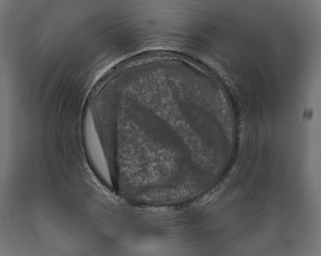X0000088881121200707061404