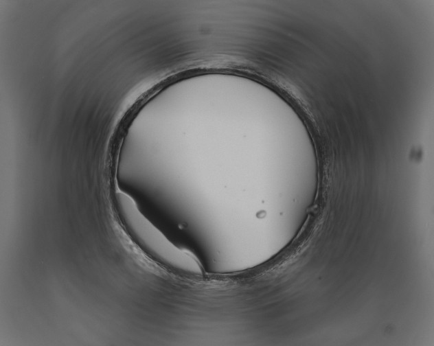 X0000088881122200707061404