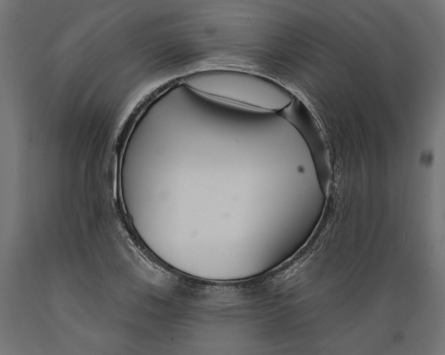 X0000088881123200707061404