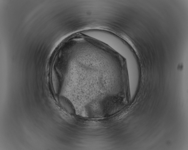 X0000088881124200707061404