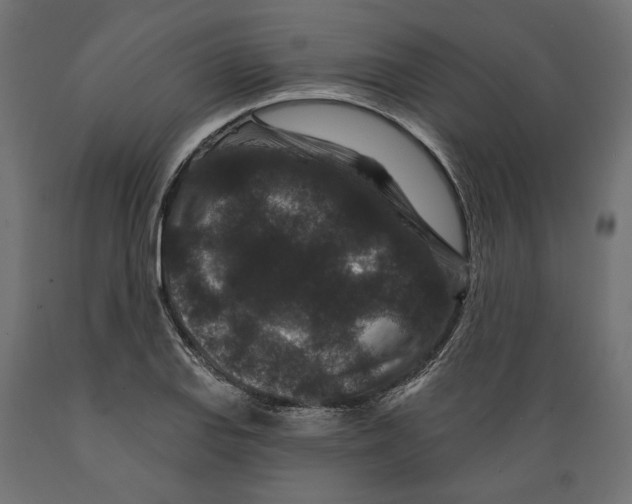 X0000088881127200707061404