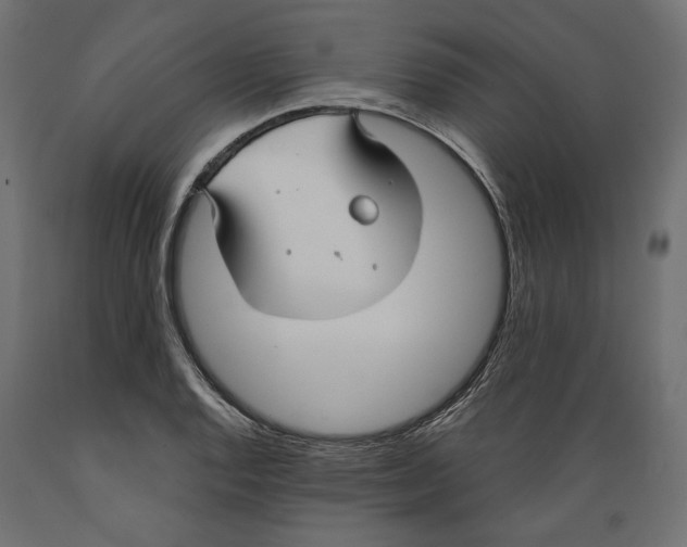 X0000088881128200707061404