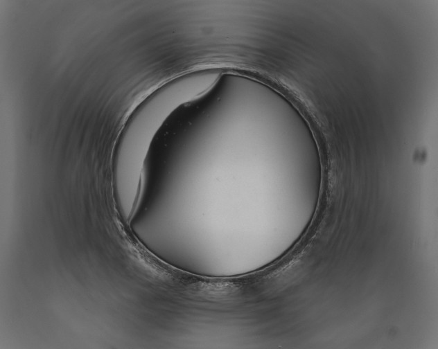 X0000088881129200707061404