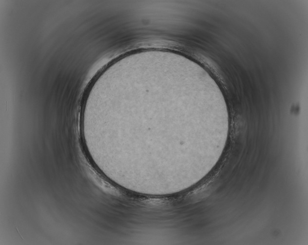 X0000088881130200707061404