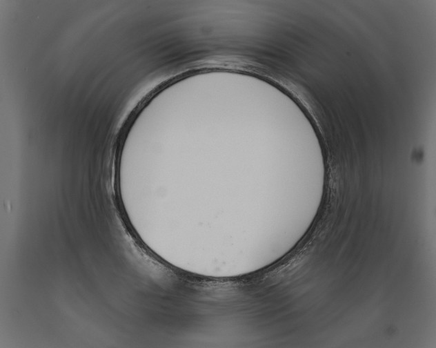 X0000088881131200707061404
