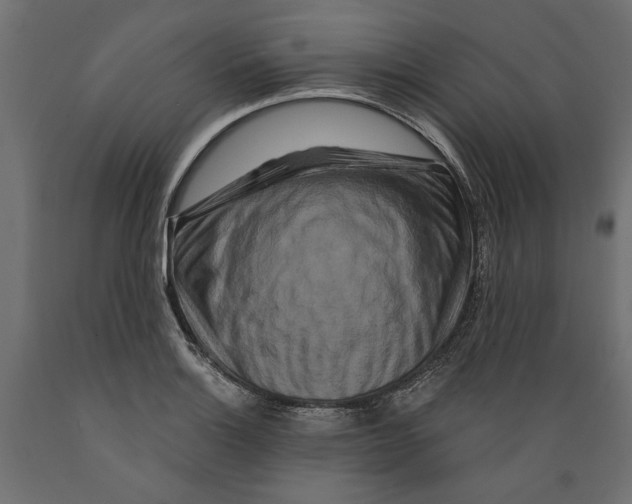X0000088881132200707061404