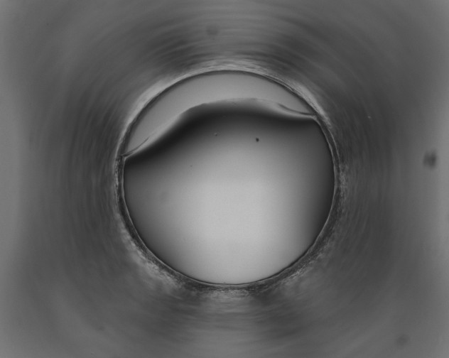 X0000088881133200707061404
