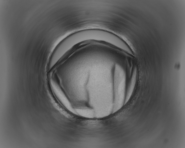 X0000088881134200707061404