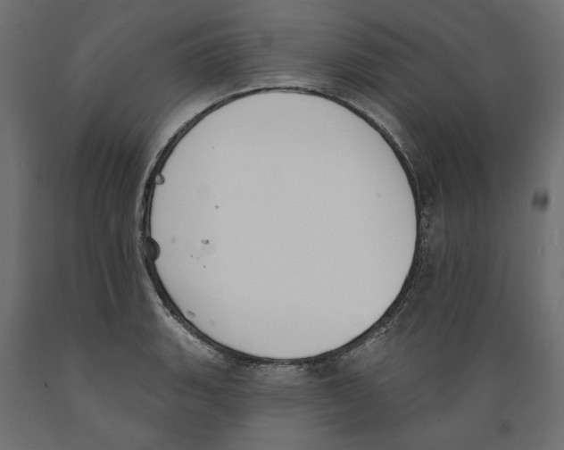 X0000088881135200707061404