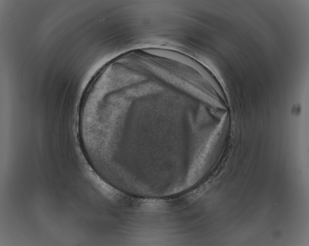 X0000088881136200707061404