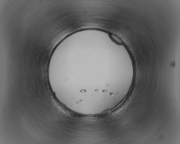 X0000088881137200707061404