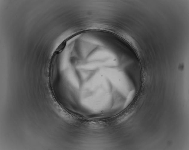 X0000088881138200707061404