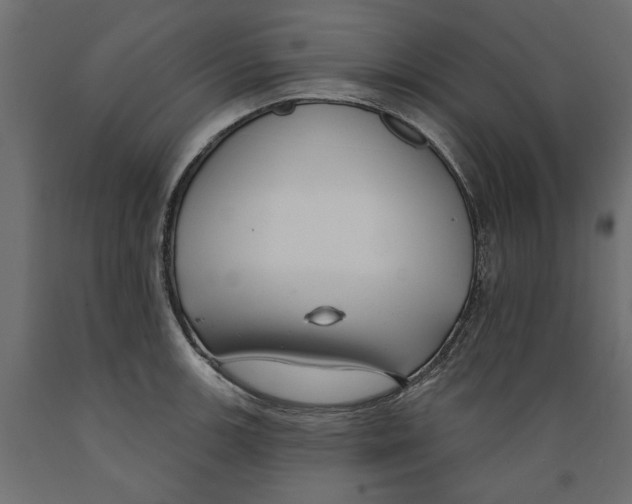 X0000088881139200707061404