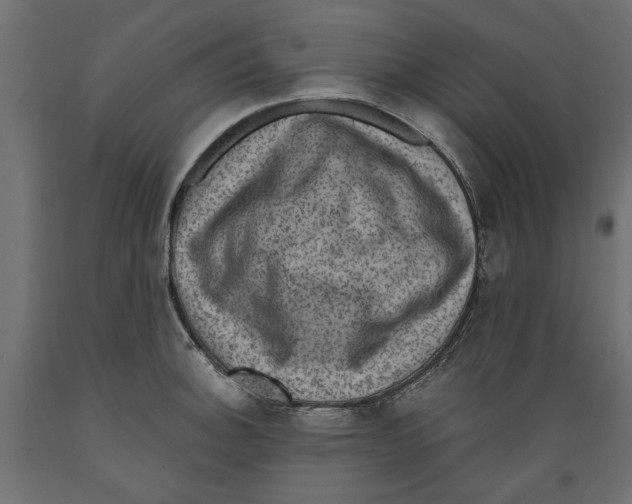 X0000088881140200707061404