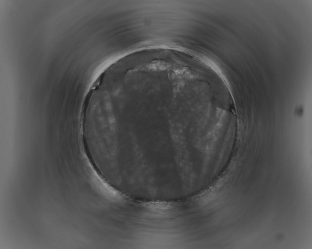 X0000088881141200707061404