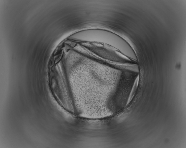 X0000088881142200707061404