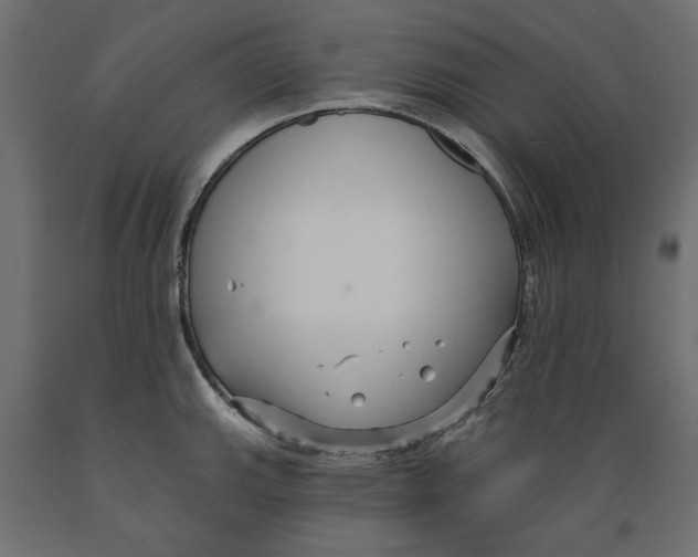 X0000088881143200707061404