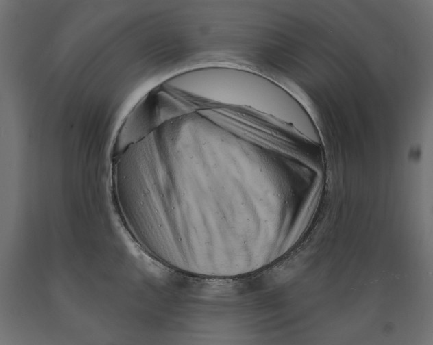 X0000088881144200707061404