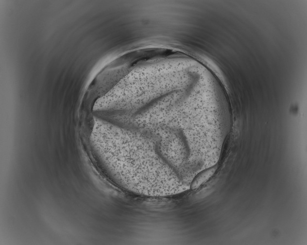 X0000088881146200707061404